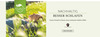 bet-0034-20-nachhaltigkeit-04-slider-startseite-db-1900x700px-fin.jpg